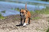 STAFFIE 203